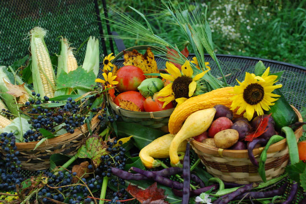 Baskets of corn, tomatoes, yellow squash, multicolored potatoes, and green and purple beans, arranged with sunflowers, grapes, and autumn leaves.
